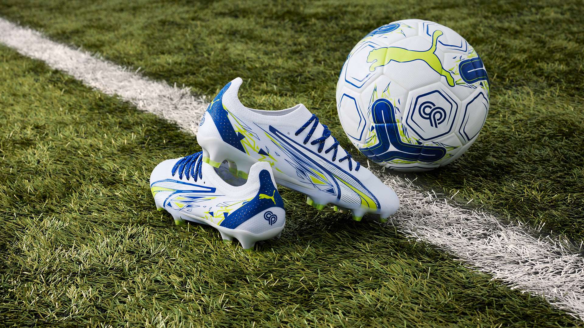 遇到伯乐般 遇到伯乐般